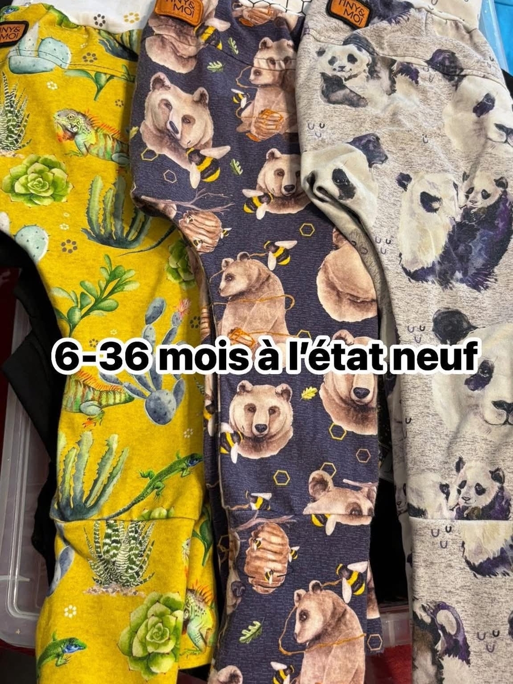 Lot Pantalon Evolutif 6-36 Mois
